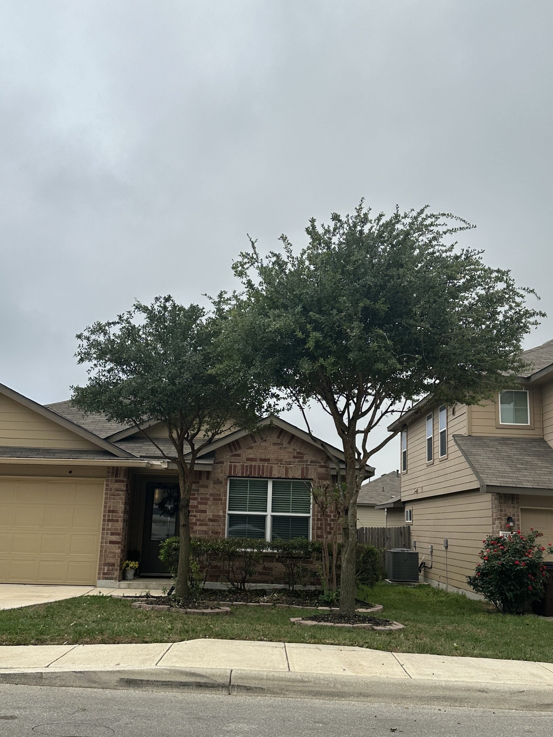 B0611B11 758A 4A3F A705 B1F5AD310DA4 scaled