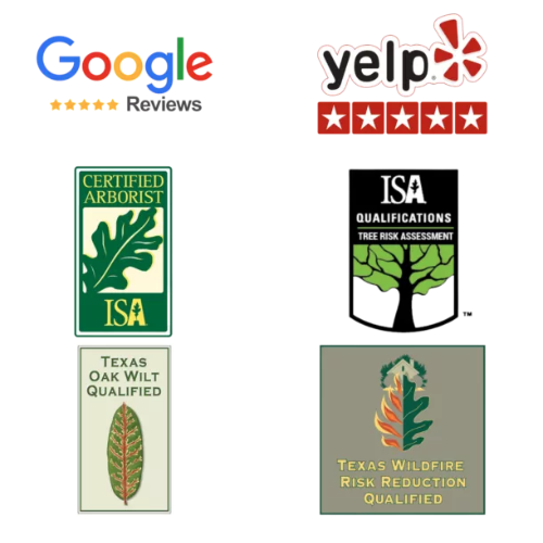 Tree Trimming Removal Dallas TX 1