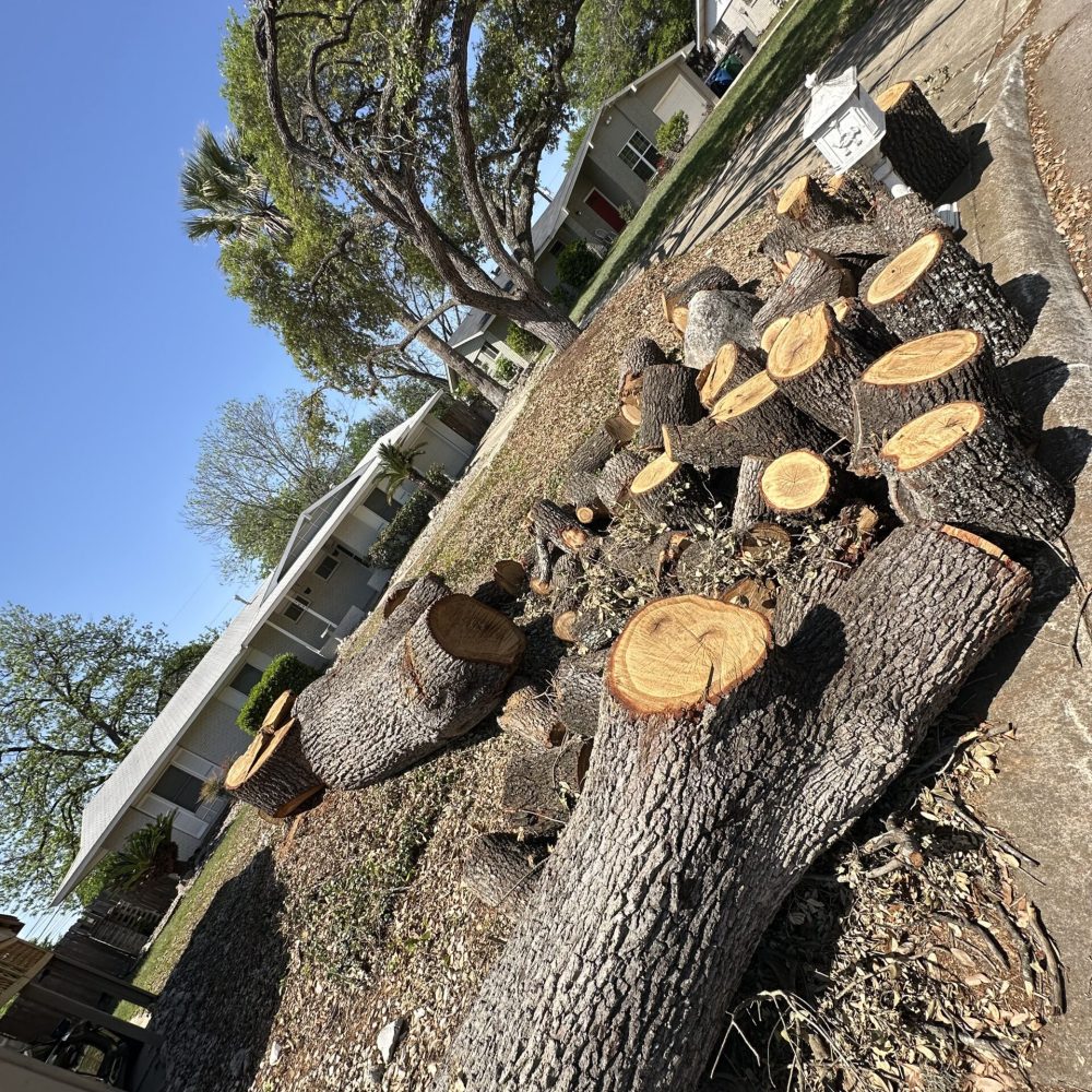 0A45F6CC A906 488F BCC6 0C6AC7EB9045 scaled 0A45F6CC A906 488F BCC6 0C6AC7EB9045 scaled